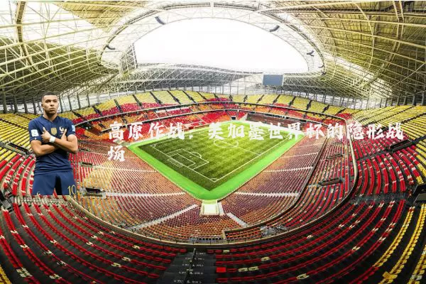 高原作战：美加墨世界杯的隐形战场
